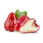 Rose Apple
